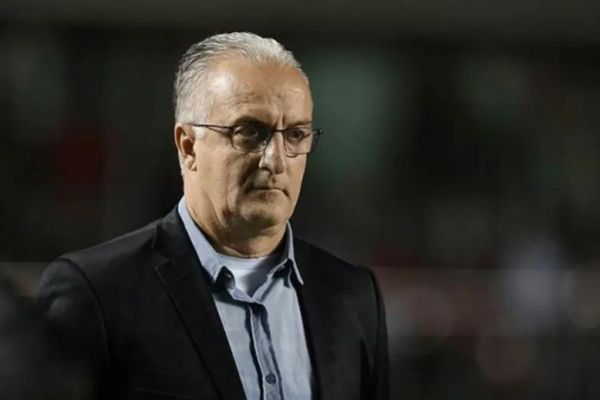 novo técnico da seleção